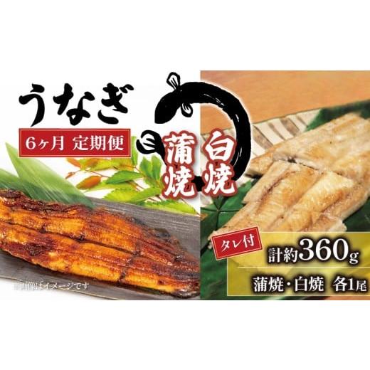 ふるさと納税 うなぎ 滋賀県 竜王町 国産 うなぎ 定期便 白焼 蒲焼セット 180g×2尾 計約360g タレ付 6ヵ月 ( 鰻 冷凍 6回 定期便 たれ付 丑の日 ギフト 国産 …_1
