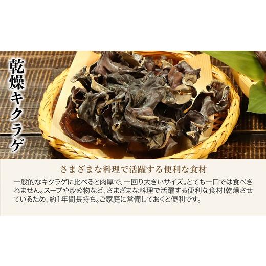 ふるさと納税 野菜類 きのこ 新潟県 関川村 あらかわキクラゲ生・乾燥セット(生キクラゲ220g×2パック・乾燥キクラゲ30g×2パック) 1442531_3