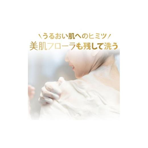 ふるさと納税 雑貨・日用品 神奈川県 相模原市 ダヴ ボディウォッシュ プレミアム モイスチャーケア つめかえ用 640g×9 着日指定不可 離島への配送不可