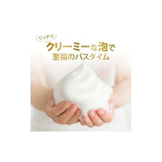 ふるさと納税 雑貨・日用品 神奈川県 相模原市 ダヴ ボディウォッシュ プレミアム モイスチャーケア つめかえ用 640g×9 着日指定不可 離島への配送不可