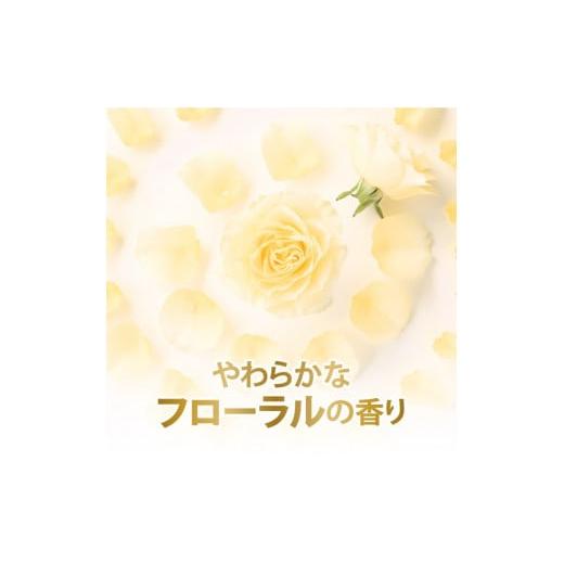 ふるさと納税 雑貨・日用品 神奈川県 相模原市 ダヴ ボディウォッシュ プレミアム モイスチャーケア つめかえ用 640g×9 着日指定不可 離島への配送不可