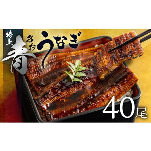 ふるさと納税 うなぎ 愛知県 田原市 厳選 高級 青うなぎ 蒲焼 40尾 6000g 訳あり 大容量_1