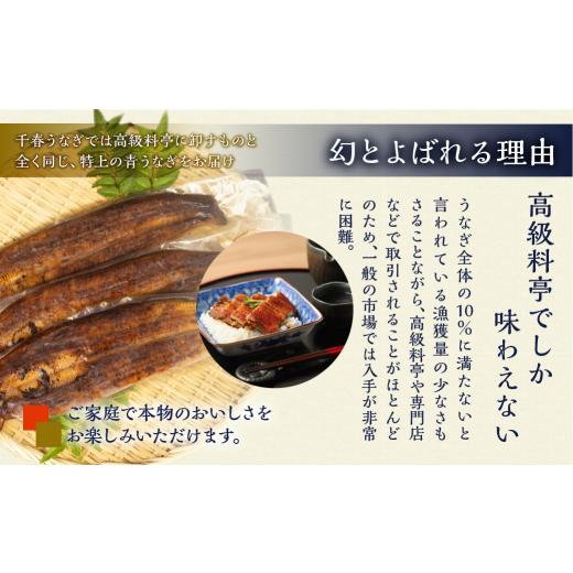 ふるさと納税 うなぎ 愛知県 田原市 厳選 高級 青うなぎ 蒲焼 40尾 6000g 訳あり 大容量_5