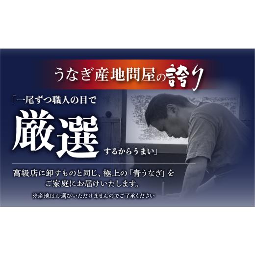 ふるさと納税 うなぎ 愛知県 田原市 厳選 高級 青うなぎ 蒲焼 40尾 6000g 訳あり 大容量_6