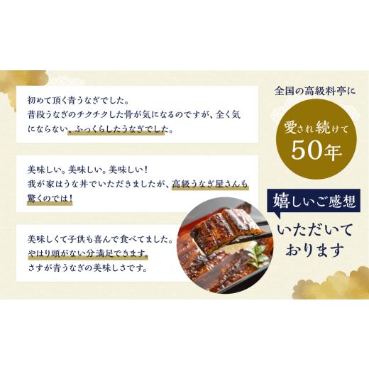ふるさと納税 うなぎ 愛知県 田原市 厳選 高級 青うなぎ 蒲焼 40尾 6000g 訳あり 大容量_8