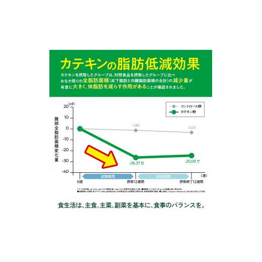 ふるさと納税 埼玉県 さいたま市 綾鷹 濃い緑茶 FFC 525mlPET×24本×2箱　【11100-0538】｜furusatochoice｜05