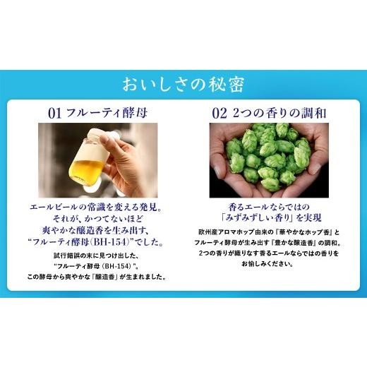 ふるさと納税 ビール 群馬県 大泉町  2か月定期便 サントリー ザ・プレミアム・モルツ〈香るエール〉（500ml×24本）の画像