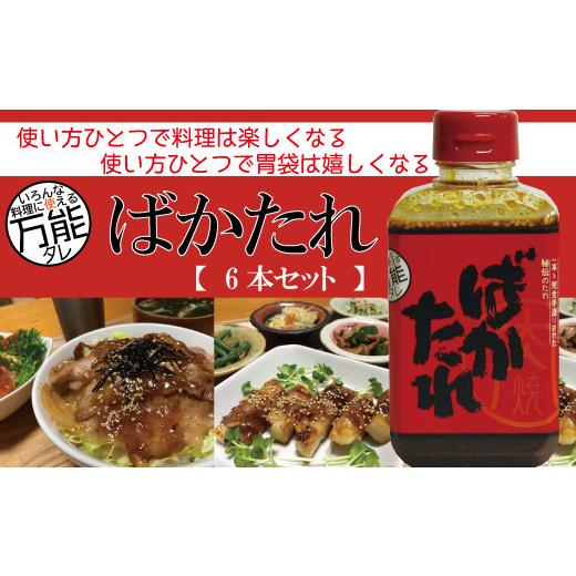 ふるさと納税 調味料・油 たれ 高知県 四万十市 R5-689．完全手作り いろんな料理に使える万能な秘伝のたれ「ばかたれ」6本セット ...