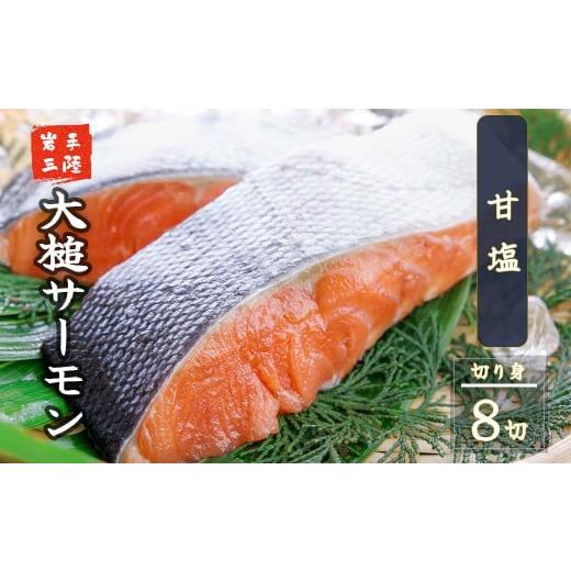 ふるさと納税 魚貝類 鮭 岩手県 大槌町  6ヶ月定期便 大槌サーモン ひと塩切り身8切(1切れ真空包装約80g〜100g)×6回 計48切 15の画像
