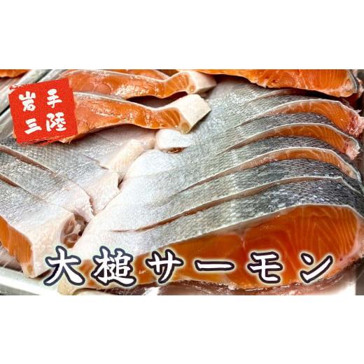 ふるさと納税 魚貝類 鮭 岩手県 大槌町  6ヶ月定期便 大槌サーモン ひと塩切り身8切(1切れ真空包装約80g〜100g)×6回 計48切 15の画像