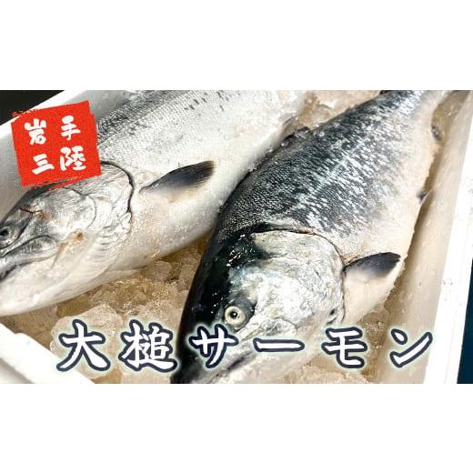 ふるさと納税 魚貝類 鮭 岩手県 大槌町  6ヶ月定期便 大槌サーモン ひと塩切り身8切(1切れ真空包装約80g〜100g)×6回 計48切 15の画像