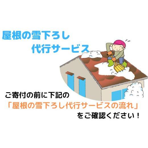 【2026年1月8日以降の発送予定】 ふるさと納税 秋田県 湯沢市 F0001　屋根の雪下ろし代行サービス（作業員２名） 【1498815284】(52800円)