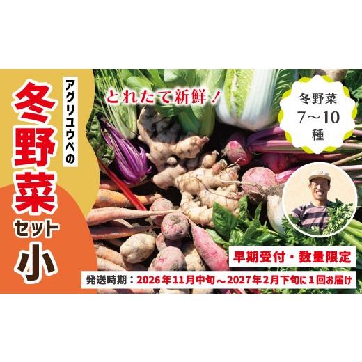ふるさと納税 セット・詰合せ 高知県 四万十市 早期受付 数量限定 アグリユウベの冬野菜セット (小) とれたて 新鮮 農家直送 国産 野菜便 やさい 野菜 冬野菜…