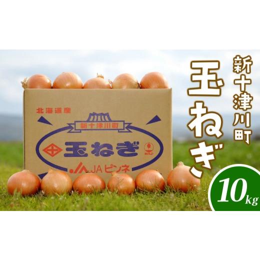 ふるさと納税 野菜類 玉ねぎ 北海道 新十津川町 先行受付 北海道 玉ねぎ Lサイズ 10kg ｜ オンライン 申請 ふるさと納税 北海道 新十津川 北海道産 たまねぎ …の画像