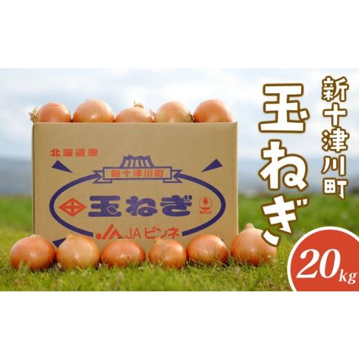 ふるさと納税 野菜類 玉ねぎ 北海道 新十津川町 先行受付 玉ねぎ Lサイズ 20kg ｜ オンライン 申請 ふるさと納税 北海道 新十津川 北海道産 たまねぎ タマネギ…の画像