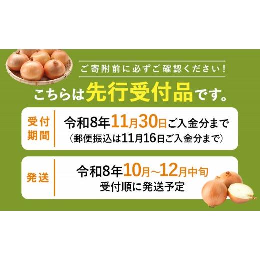 ふるさと納税 野菜類 玉ねぎ 北海道 新十津川町 先行受付 玉ねぎ Lサイズ 20kg ｜ オンライン 申請 ふるさと納税 北海道 新十津川 北海道産 たまねぎ タマネギ…の画像