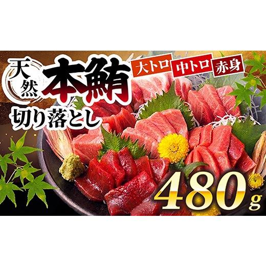 ふるさと納税 マグロ 高知県 室戸市 天然本マグロ 大トロ 中とろ 赤身 切り落とし 3種類 食べ比べセット お手軽 ちょこっとパック 60g×8パック 合計480g 食べ…