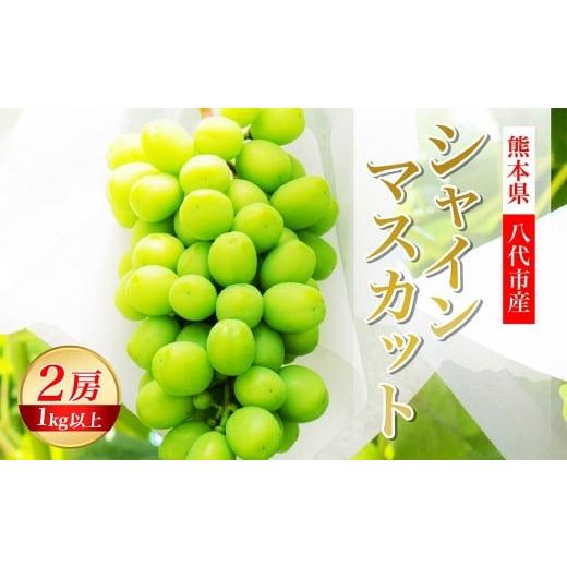 ふるさと納税 ぶどう マスカット 熊本県 八代市 先行予約 熊本県 八代市産 シャインマスカット 2房 1.0kg以上 ぶどう フルーツ マスカット 旬 青果物 果物 新…