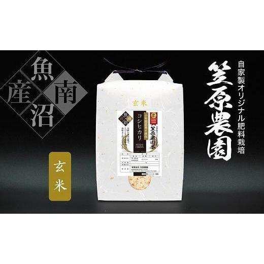 ふるさと納税 玄米 新潟県 南魚沼市 令和7年産新米 南魚沼産 笠原農園米 十年間農薬不使用コシヒカリ玄米 2kg