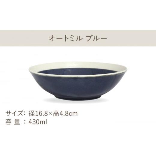 ふるさと納税 陶磁器・漆器・ガラス 岐阜県 多治見市  美濃焼 軽量食器 TLPリムバンド ブルー 9インチ プレート×4 オートミル×4 セット 井澤コーポレーショ…の画像