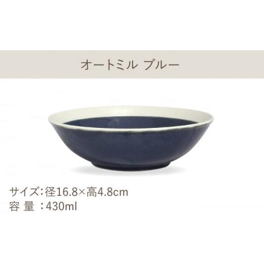 ふるさと納税 陶磁器・漆器・ガラス 岐阜県 多治見市  美濃焼 軽量食器 TLPリムバンド ブルー 9インチ クープ×4枚 オートミル×4枚 8個セット 井澤コーポレー…の画像