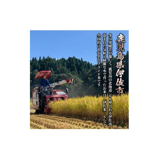 ふるさと納税 鹿児島県 伊佐市 isa500 【定期便・全12回(連続)】伊佐米 ヒノヒカリ(計60kg・5kg×全12回)【725】