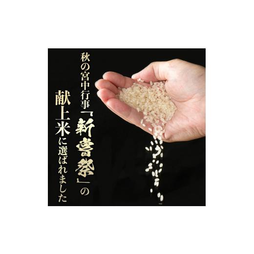 ふるさと納税 鹿児島県 伊佐市 isa500 【定期便・全12回(連続)】伊佐米 ヒノヒカリ(計60kg・5kg×全12回)【725】