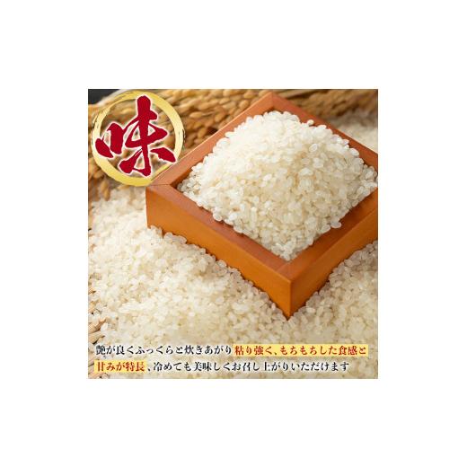 ふるさと納税 鹿児島県 伊佐市 isa500 【定期便・全12回(連続)】伊佐米 ヒノヒカリ(計60kg・5kg×全12回)【725】