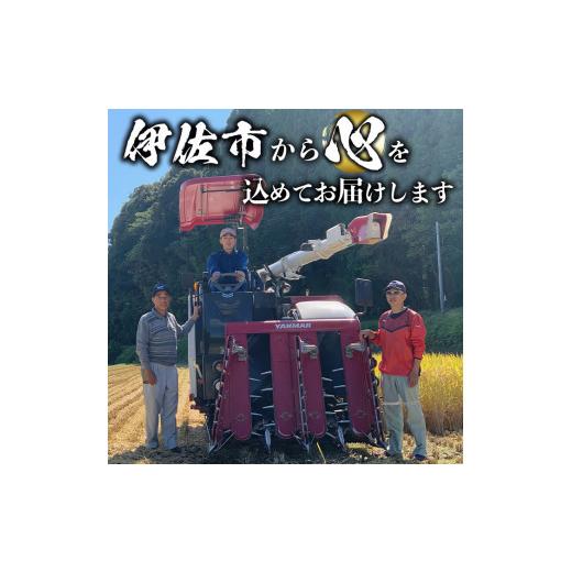 ふるさと納税 鹿児島県 伊佐市 isa500 【定期便・全12回(連続)】伊佐米 ヒノヒカリ(計60kg・5kg×全12回)【725】