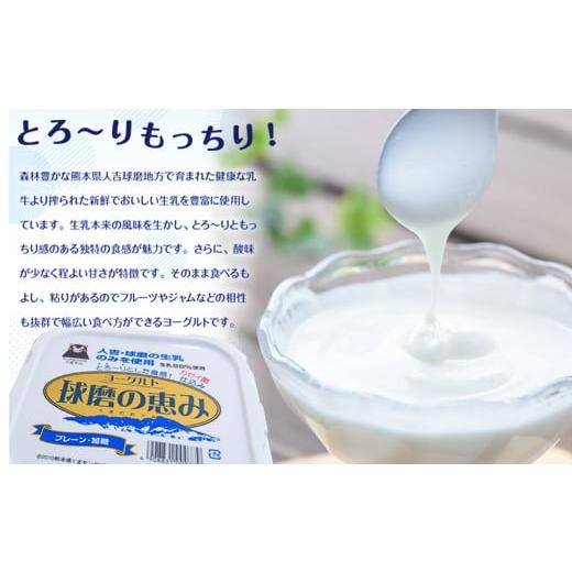 ふるさと納税 菓子 ヨーグルト 熊本県 湯前町  3ヶ月定期便 球磨の恵みヨーグルトセット（砂糖不使用1kg&times;4個）計12kg