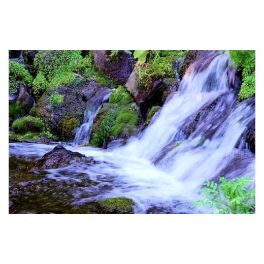 ふるさと納税 水・ミネラルウォーター 500mL〜999mL 宮崎県 小林市  定期便・霧島連山天然水６か月コース 霧島連山から湧き出す細野の天然水 555ml×24本×6…の画像