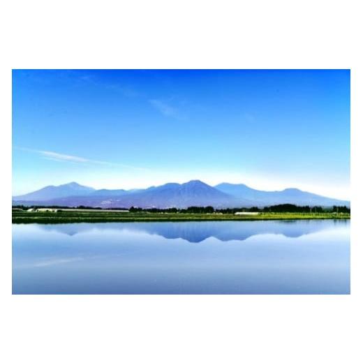 ふるさと納税 水・ミネラルウォーター 500mL〜999mL 宮崎県 小林市  定期便・霧島連山天然水６か月コース 霧島連山から湧き出す細野の天然水 555ml×24本×6…の画像