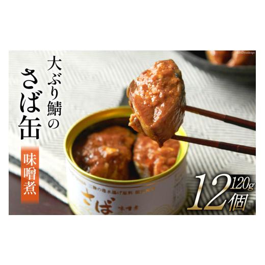ふるさと納税 缶詰・瓶詰 魚貝類 宮城県 気仙沼市 大ぶり鯖のさば缶 12缶 セット 味噌煮 モンマルシェ 宮城県 気仙沼市 20565066 缶詰 サバ缶 サバ 缶詰め か…