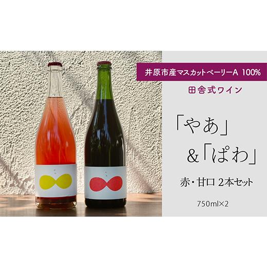 ふるさと納税 岡山県 井原市 田舎式ワイン「やあ」＆「ぱわ」2本