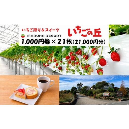 ふるさと納税 生息地のお買い上げ券 愛知県 美浜町 まるは食べ物屋 マルハたまり場 いちごの丘1,000円券21枚（21,000円分） 着日決する不可
