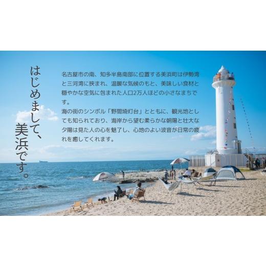 ふるさと納税 生息地のお買い上げ券 愛知県 美浜町 まるは食べ物屋 マルハたまり場 いちごの丘1,000円券21枚（21,000円分） 着日決する不可