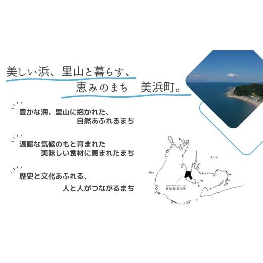 ふるさと納税 生息地のお買い上げ券 愛知県 美浜町 まるは食べ物屋 マルハたまり場 いちごの丘1,000円券21枚（21,000円分） 着日決する不可