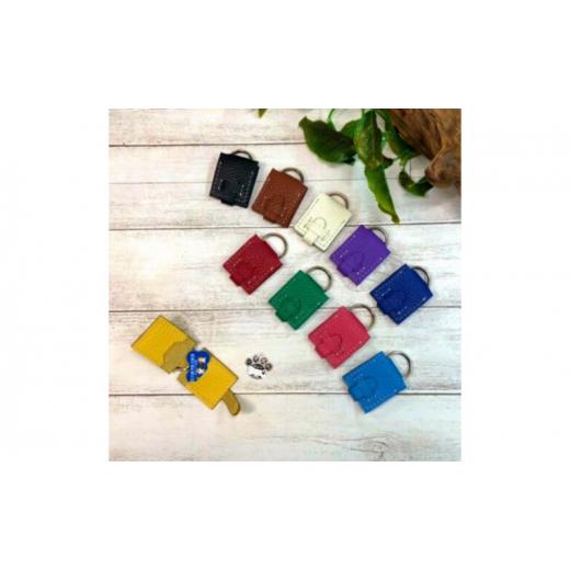 ふるさと納税 雑貨・日用品 神奈川県 寒川町 イタリアンシュリンクレザー(本革)の犬鑑札ケース 水色 水色