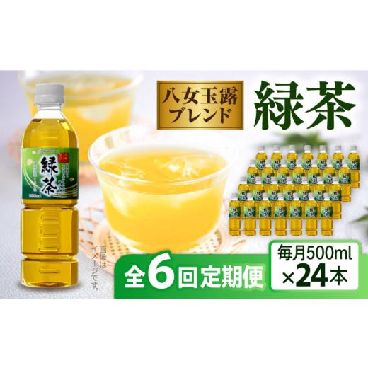 ふるさと納税 お茶類 緑茶（飲料） 福岡県 糸島市  全6回定期便 八女 玉露入り 緑茶 500ml × 24本 糸島市 ／ スターナイン お茶 ペットボトル ARM016_1