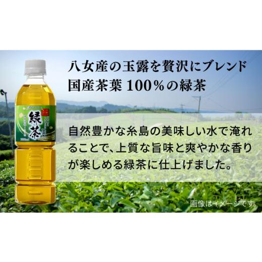 ふるさと納税 お茶類 緑茶（飲料） 福岡県 糸島市  全6回定期便 八女 玉露入り 緑茶 500ml × 24本 糸島市 ／ スターナイン お茶 ペットボトル ARM016_2