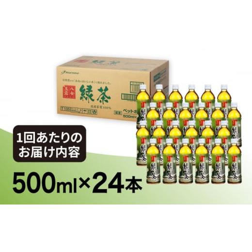 ふるさと納税 福岡県 糸島市 【全6回定期便】八女 玉露入り 緑茶 500ml × 24本  糸島市 ／ スターナイン お茶 ペットボトル [ARM016]｜furusatochoice｜04