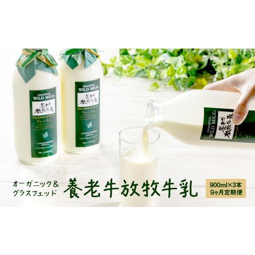 ふるさと納税 飲料類 牛乳 北海道 中標津町  定期便：全9回 オーガニック＆グラスフェッド養老牛放牧牛乳900ml×3本 | 有機牛乳 牛乳 放牧牛乳 低温殺菌 ノン…_1