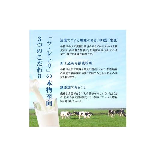 ふるさと納税 菓子 ヨーグルト 北海道 中標津町  定期便：全9回 のむヨーグルト 500ml 4本 食べるヨーグルト 6個 ゴーダチーズ 125g ヨーグルト チーズ 健康 …_3