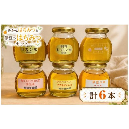 ふるさと納税 加工品等 はちみつ 静岡県 伊豆の国市 富田養蜂園　みかんはちみつと伊豆のはちみつセット（200g×6本）|さくら サクラ 蜜柑 ミカン 百花 蜂蜜 …_1