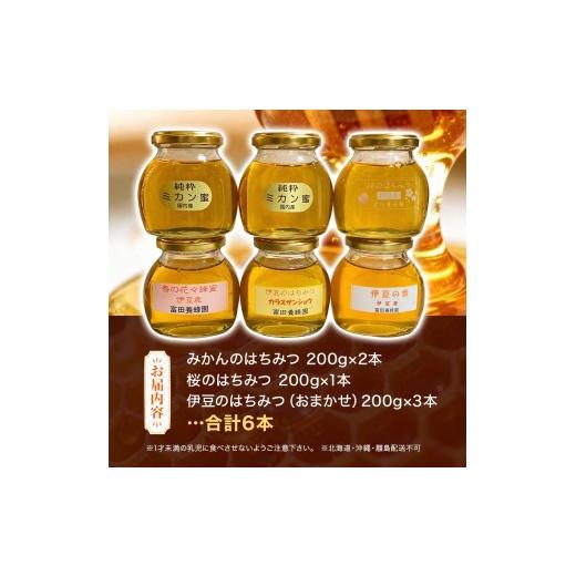 ふるさと納税 加工品等 はちみつ 静岡県 伊豆の国市 富田養蜂園　みかんはちみつと伊豆のはちみつセット（200g×6本）|さくら サクラ 蜜柑 ミカン 百花 蜂蜜 …_2