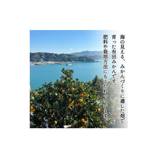 ふるさと納税 果物類 みかん 和歌山県 湯浅町 DZ6033_ ふるさと納税 2026年先行予約 ご家庭用 有田みかん 和歌山 小玉(2S,3Sサイズ混合) 約3kg |  | 03
