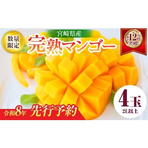 ふるさと納税 マンゴー 宮崎県 日南市 リピーター続出 宮崎県産 完熟 マンゴー 2L以上×4玉 令和8年発送分 数量限定 フルーツ 果物 果汁 希少 濃厚 ジューシー…