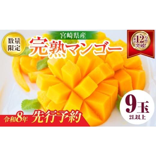 ふるさと納税 マンゴー 宮崎県 日南市 リピーター続出 宮崎県産 完熟 マンゴー 2L以上×9玉 令和8年発送分 数量限定 フルーツ 果物 果汁 希少 濃厚 ジューシー…