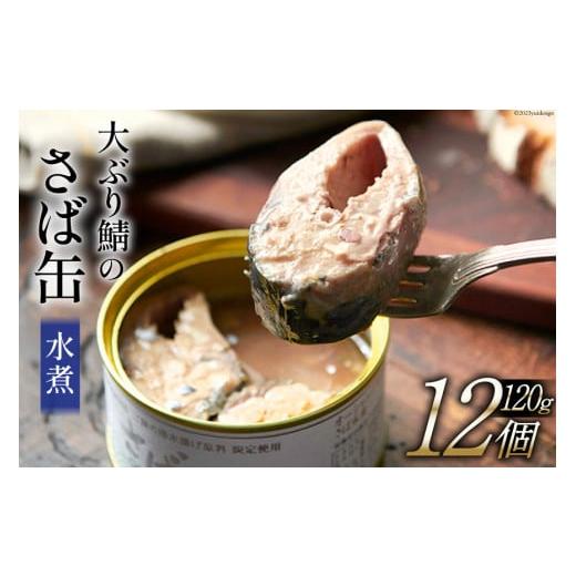 ふるさと納税 宮城県 気仙沼市 大ぶり鯖のさば缶 12缶セット 水煮 [モンマルシェ 宮城県 気仙沼市 20562833] 保存食 さば缶 サバ 鯖 缶詰 缶詰め さば味噌煮 …｜furusatochoice｜02