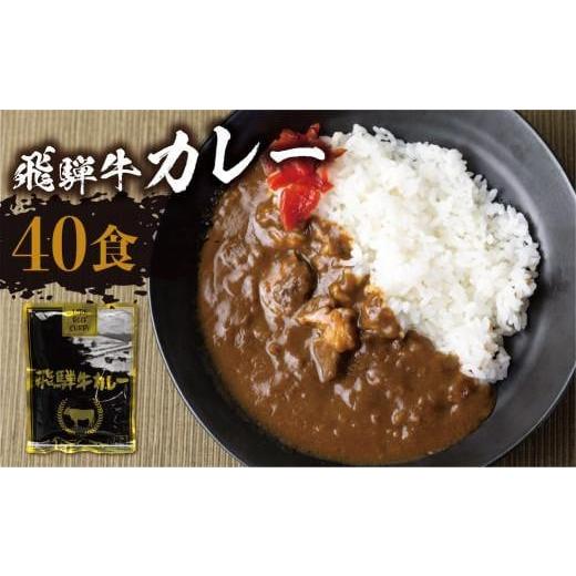 ふるさと納税 加工品等 レトルト 岐阜県 高山市 1月発送 飛騨牛カレー (40袋) ビーフカレー 飛騨牛 カレー 簡易包装 レトルトカレー お手軽 ふるさと清見 DC0…